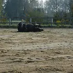 La Petit Maison Chez Pommes & Chevaux Favières
