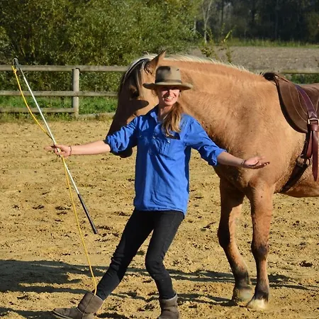 Holiday home La Petit Maison Chez Pommes & Chevaux